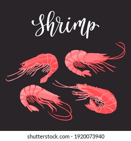 Seafood healthy nutrition product. Fresh tasty shrimps. Vector hand drawn flat isolated illustration with hand written lettering for your design on black background.