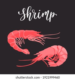 Seafood healthy nutrition product. Fresh tasty shrimps. Vector hand drawn flat isolated illustration with hand written lettering for your design on black background.