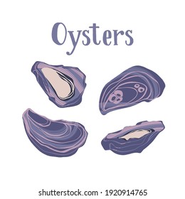 Seafood healthy nutrition product. Gourmet freshest oysters. Vector hand drawn flat isolated illustration with lettering for your design on white background.