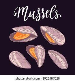 Seafood healthy nutrition product. Mussels in shells. Vector hand drawn flat isolated illustration with hand written lettering for your design on black background.