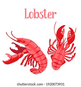 Seafood healthy nutrition product. Red lobster. Vector hand drawn flat isolated illustration with lettering for your design on white background.