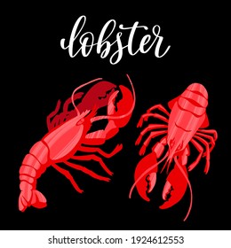 Seafood healthy nutrition product. Red delicious lobster. Vector hand drawn flat isolated illustration with hand written lettering for your design on black background.