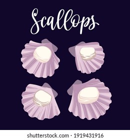 Seafood healthy nutrition product. Scallops in the shells. Vector hand drawn flat isolated illustration with hand written lettering for your design on black background.
