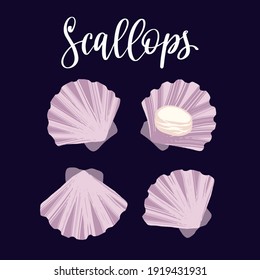 Seafood healthy nutrition product. Scallops in the shells. Vector hand drawn flat isolated illustration with hand written lettering for your design on black background.
