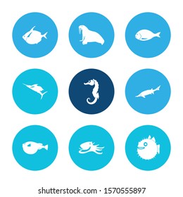 Seafood icon set and walrus with fugu fish, seafood and octopus. Swordfish related seafood icon vector for web UI logo design.