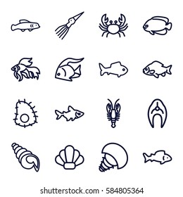 seafood icons set. Set of 16 seafood outline icons such as fish, crab, shell, extinct sea creature