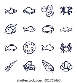 seafood icons set. Set of 16 seafood outline icons such as fish, octopus, crab, sushi, shell, extinct sea creature