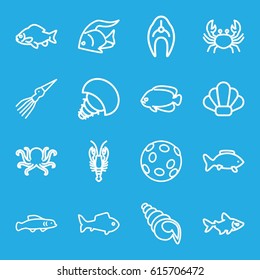 Seafood icons set. set of 16 seafood outline icons such as fish, octopus, crab, shell, extinct sea creature