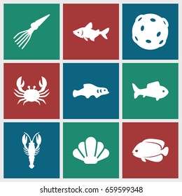 Seafood icons set. set of 9 seafood filled icons such as crab, fish, shell, extinct sea creature