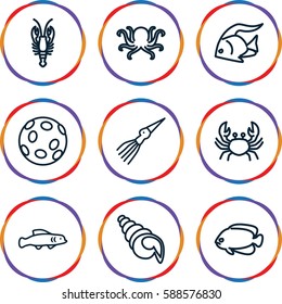 seafood icons set. Set of 9 seafood outline icons such as fish, octopus, crab, shell, extinct sea creature