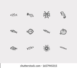 Seafood icons set. Cod fish and seafood icons with mullet, sea urchin and turbot. Set of prickly for web app logo UI design.