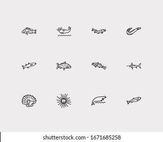 Seafood icons set. Salmon and seafood icons with cod fish, harbor seal and carp fish. Set of catfish for web app logo UI design.