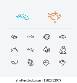 Seafood icons set. Spiny lobster and seafood icons with turbot, walrus and goldfish. Set of fighting for web app logo UI design.
