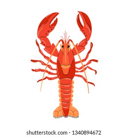 Seafood illustration in cartoon style. Red lobster on a white background