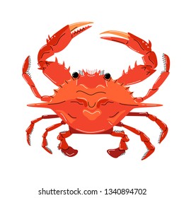 Seafood illustration in cartoon style. Red crab on a white background