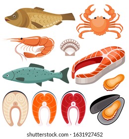 Seafood. Illustration of fish, shrimp, mussels and crab on a white background. Vector illustration