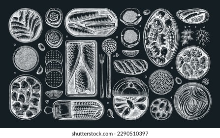 Seafood illustrations on a chalkboard. Hand-drawn tinned fish sketches collection. Sardines, anchovy, mackerel, tuna, mussels in tin cans, fish canapes, olives, crackers drawings. Marine menu design