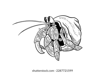 seafood of ink drawing sketch for poster menu, banner, brochure. poster seafood for restaurant