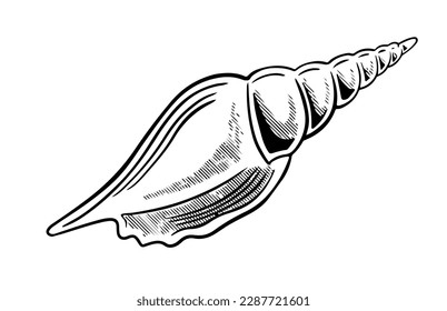 seafood of ink drawing sketch for poster menu, banner, brochure. poster seafood for restaurant