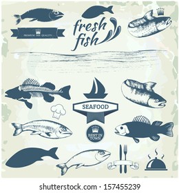 Seafood labels, fish packaging design, fishing logo elements