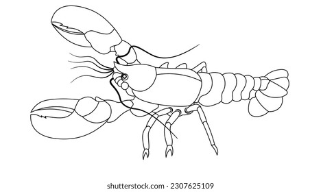 Seafood Line Art,Coloring Page.Line Art.