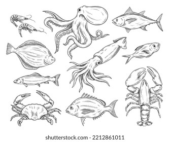 Seafood linear sketch set. Shrimps, octopus, crab, crayfish, shellfish, lobster, salmon. Design elements for cafe or restaurant menu. Cartoon simple vector collection isolated on white background