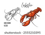 Seafood, lobster fish. Line drawing engraving vector, Hand drawn food. 