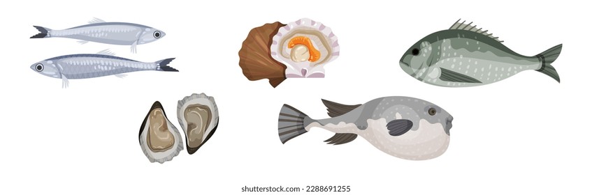 Seafood and Marine Delicacy with Anchovy, Oyster, Scallop and Fish Vector Set