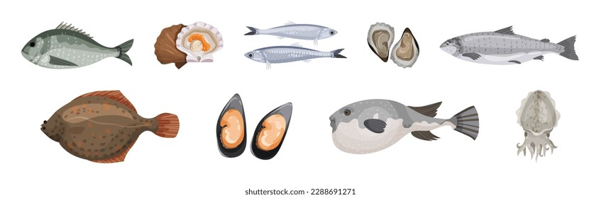 Seafood and Marine Delicacy with Fish, Oyster, Anchovy, Flounder and Scallop Vector Set