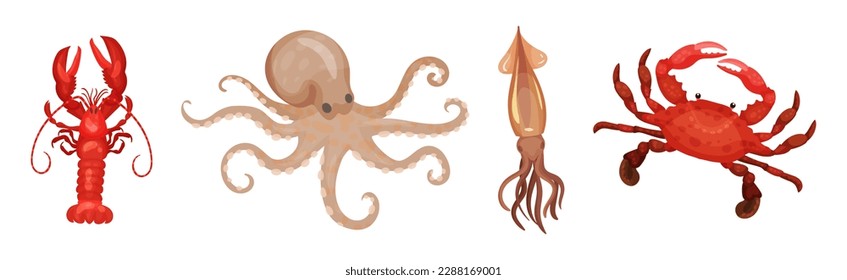 Seafood and Marine Delicacy with Lobster, Crab, Squid and Octopus Vector Set