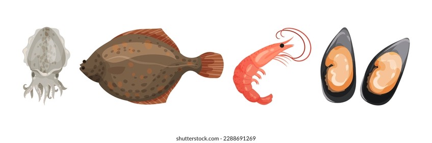 Seafood and Marine Delicacy with Squid, Flounder, Shrimp and Oyster Vector Set
