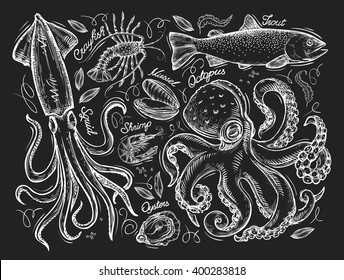 Seafood or marine mammals. Hand drawn sketch, squid, lobster, fish, trout, mussel, shrimp, oyster, octopus. Vector illustration