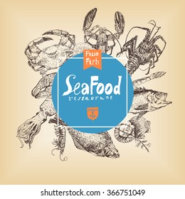 Seafood menu design. Corporate identity. Hand drawn sketch set. Vector collection, vintage engraving style