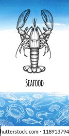 Seafood menu design template. Ink sketch of lobster. Crustaceans and molluscs. Hand drawn vector illustration. Watercolor background. Retro style.