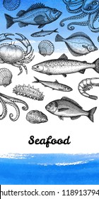 Seafood menu design template. Ink sketch of fish, crustaceans and molluscs set. Hand drawn vector illustration. Watercolor background. Retro style.