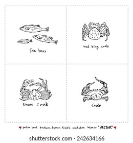 seafood menu illustrations / Set of food ingredients - vector illustrations