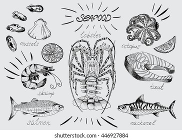Seafood menu, lobster,octopus, mussels, salmon, trout, mussels, mackerel, oysters, shrimp. Handmade graphics
