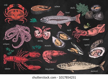 seafood menu, octopus, mussels, lobster, trout, shells, mackerel, crab, oyster, king prawns, shrimps, squid, salmon, calamari