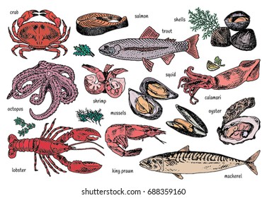 seafood menu, octopus, mussels, lobster, trout, shells, mackerel, crab, oyster, king prawns, shrimps, squid, salmon, calamari