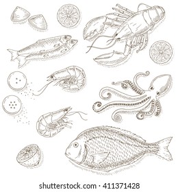 Seafood menu set hand drawn vector illustrations.