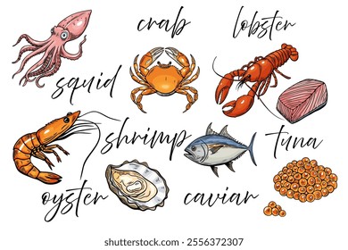 Seafood, menu set. Outline , line vector drawing, hand drawn food.