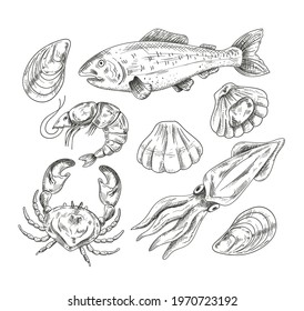 Seafood mollusk salmon fish shrimp shell crab hand draen pencil sketch isolated on white background set. Vector flat modern style graphic design illustration