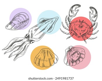 Seafood mollusk salmon fish shrimp shell crab hand draen pencil sketch isolated on white background set. Vector flat graphic design element illustration