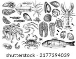 Seafood monochrome vector illustrations. Hand drawn sea fishes and fish fillet, oysters, mussels, lobster, squid and octopus, crabs, prawns. Healthy food natural set.