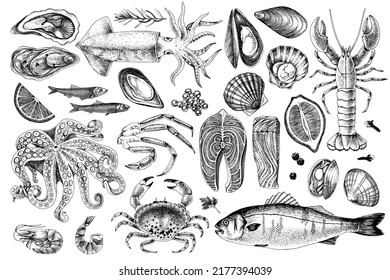 Seafood monochrome vector illustrations. Hand drawn sea fishes and fish fillet, oysters, mussels, lobster, squid and octopus, crabs, prawns. Healthy food natural set.