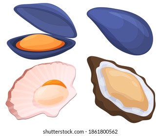 Seafood, mussels, oysters, scallops. Isolated vector illustration