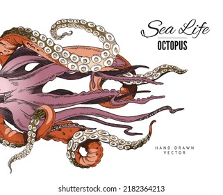 Seafood octopus banner or menu card design with tentacles of octopus, hand drawn vector illustration in engraving technique isolated on white background.