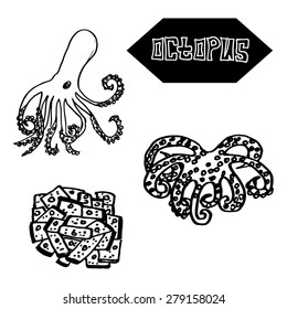 Seafood octopus Japanese and Spanish cuisine