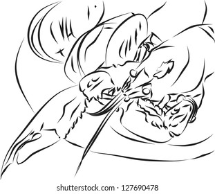 a seafood on the plate