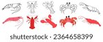 Seafood. Organic food. Healthy eating. Crustaceans. Crab, lobster, crayfish, shrimp. Collection of flat and outline hand drawn illustrations.